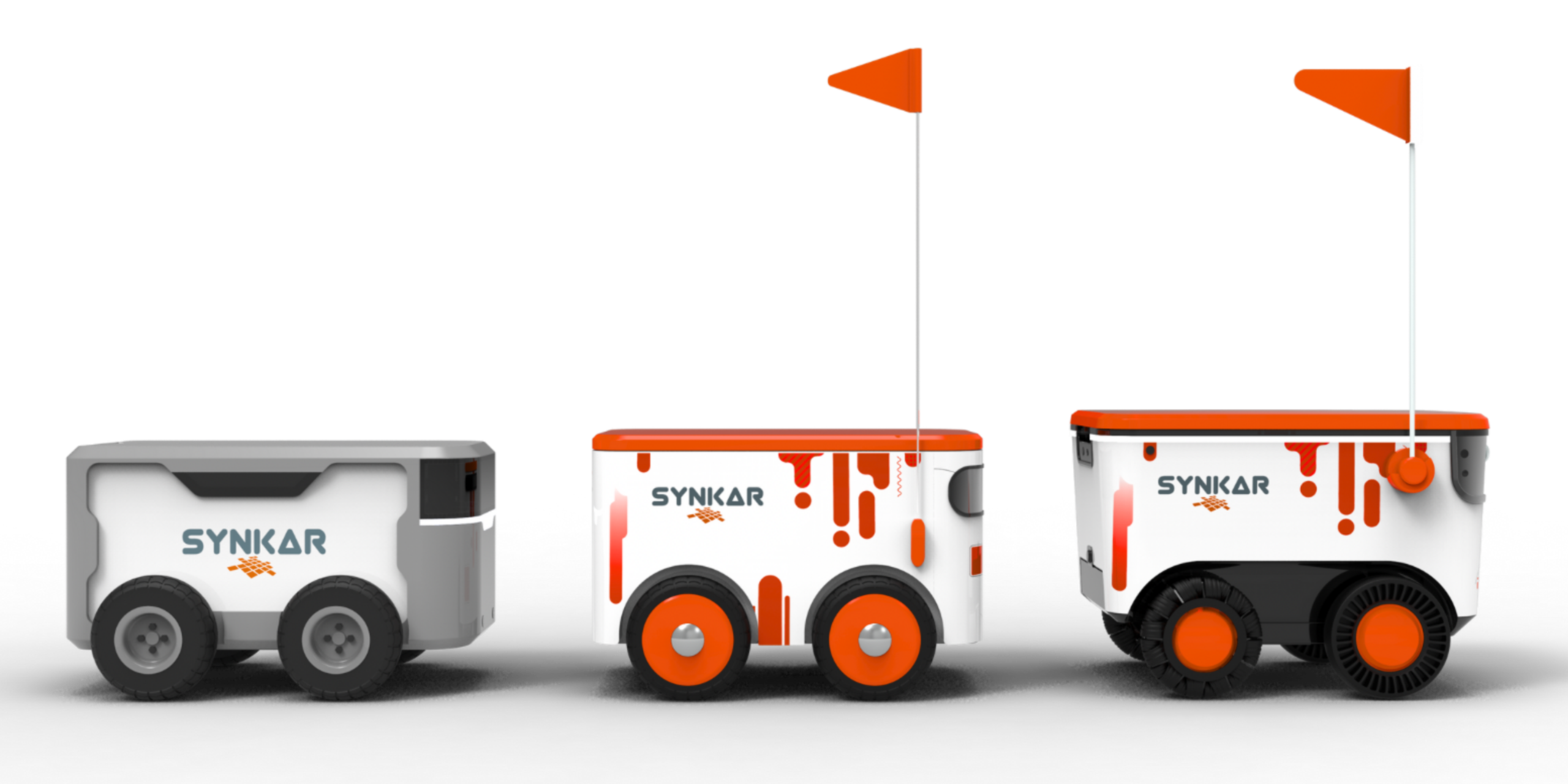 Registro visual da evolução e do desenvolvimento da Synkar